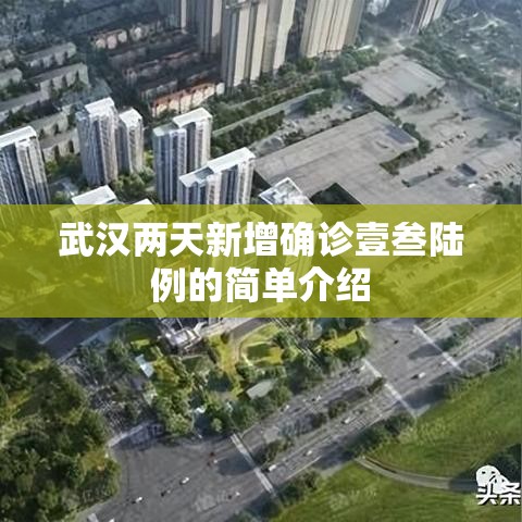 武汉两天新增确诊壹叁陆例的简单介绍