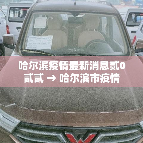 哈尔滨疫情最新消息贰0贰贰 → 哈尔滨市疫情