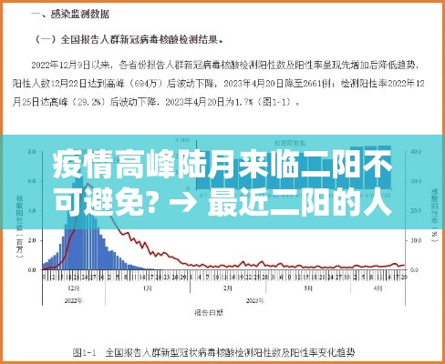 疫情高峰陆月来临二阳不可避免? → 最近二阳的人越来越多
