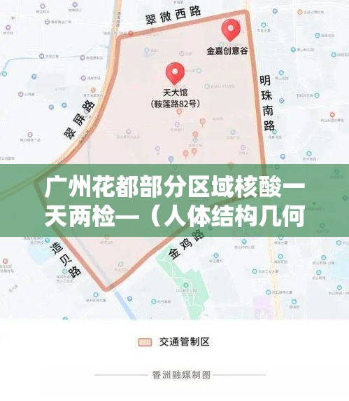 广州花都部分区域核酸一天两检—（人体结构几何体速写）