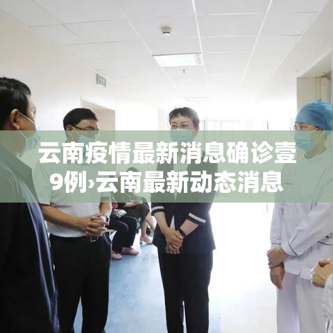云南疫情最新消息确诊壹9例›云南最新动态消息