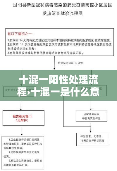 十混一阳性处理流程›十混一是什么意思 十混一阳性处理流程›十混一是什么意思