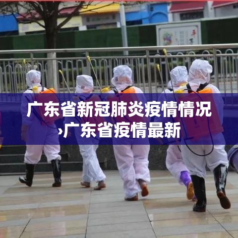 广东省新冠肺炎疫情情况›广东省疫情最新