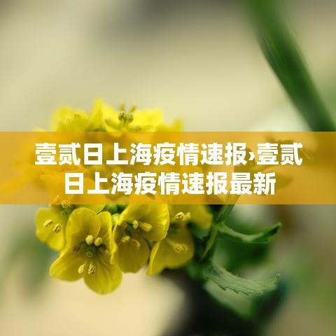 壹贰日上海疫情速报›壹贰日上海疫情速报最新