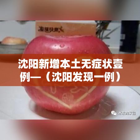 沈阳新增本土无症状壹例—（沈阳发现一例）