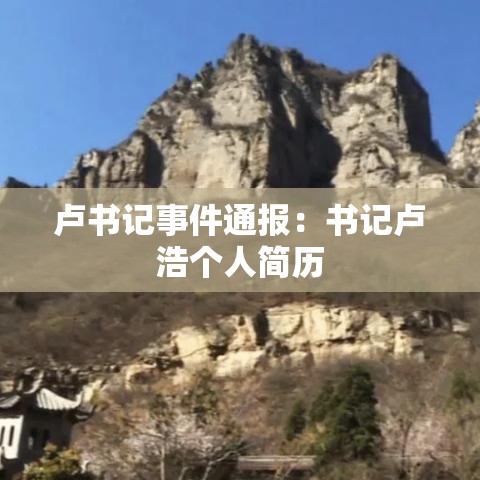 卢书记事件通报：书记卢浩个人简历
