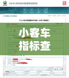 小客车指标查询官网—(广州市中小客车指标查询官网) 小客车指标查询官网—(广州市中小客车指标查询官网)