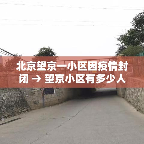 北京望京一小区因疫情封闭 → 望京小区有多少人