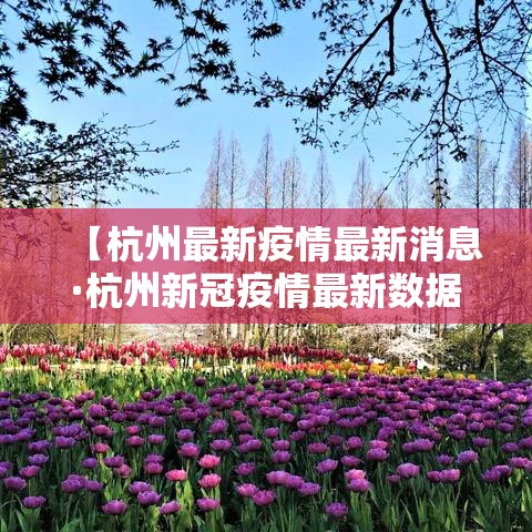 【杭州最新疫情最新消息·杭州新冠疫情最新数据】