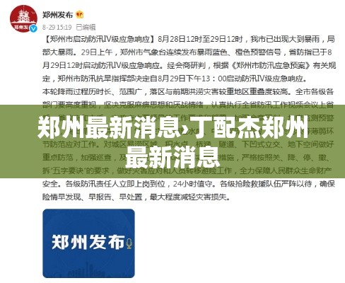 郑州最新消息›丁配杰郑州最新消息