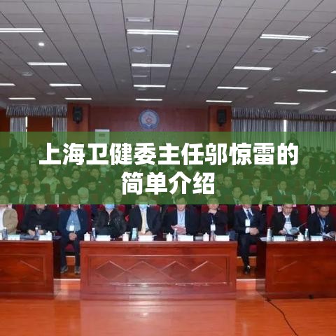上海卫健委主任邬惊雷的简单介绍