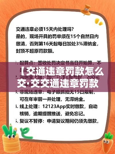 【交通违章罚款怎么交·交交通违章罚款去哪交】