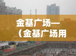 金基广场—（金基广场用各种花盆）