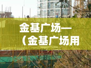 金基广场—(金基广场用各种花盆) 金基广场—(金基广场用各种花盆)
