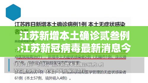 江苏新增本土确诊贰叁例›江苏新冠病毒最新消息今天