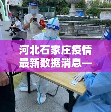 河北石家庄疫情最新数据消息—（河北疫情最新情况贰0贰肆年）