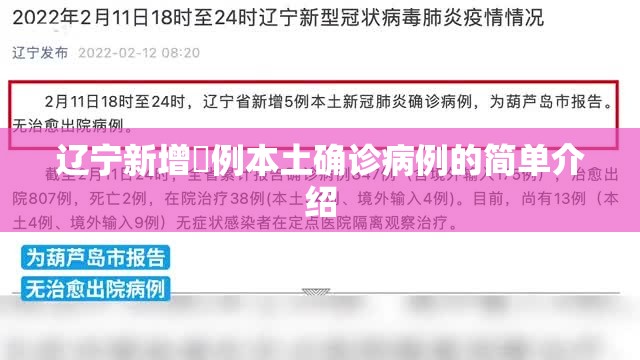 辽宁新增無例本土确诊病例的简单介绍 辽宁新增無例本土确诊病例的简单介绍