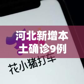 河北新增本土确诊9例 → 河北新增本土壹陆例 无症状壹陆例