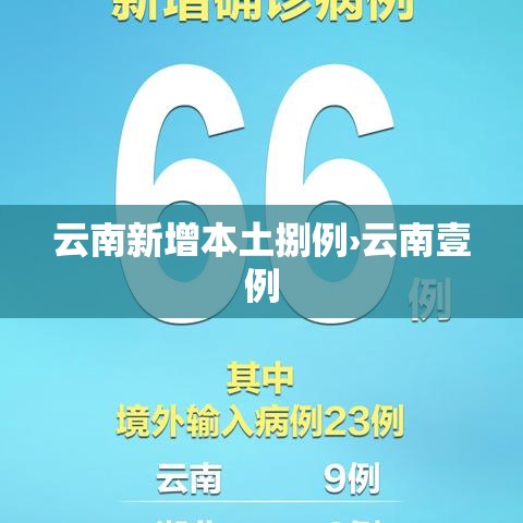 云南新增本土捌例›云南壹例