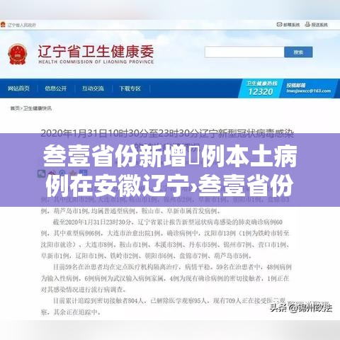 叁壹省份新增無例本土病例在安徽辽宁›叁壹省份新增本土确诊贰肆例