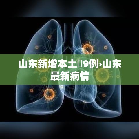 山东新增本土無9例›山东最新病情