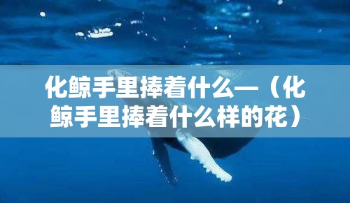 化鲸手里捧着什么—（化鲸手里捧着什么样的花）